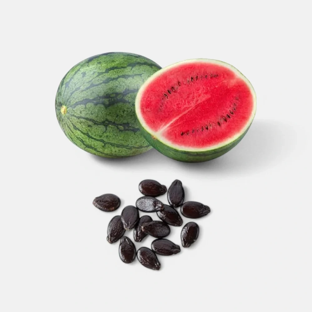 Watermelon Seed